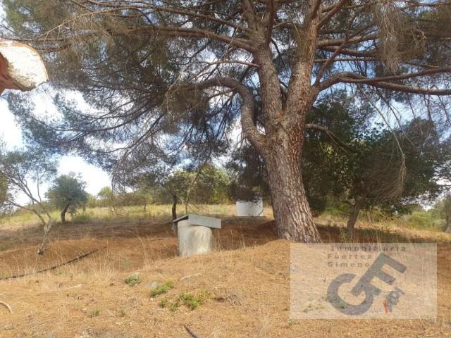 Casa en venta en Alcaracejos