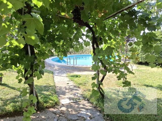 Casa en venta en Pozoblanco