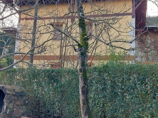 Casa en venta en Parque Científico y Tecnológico de Bizkaia, Derio