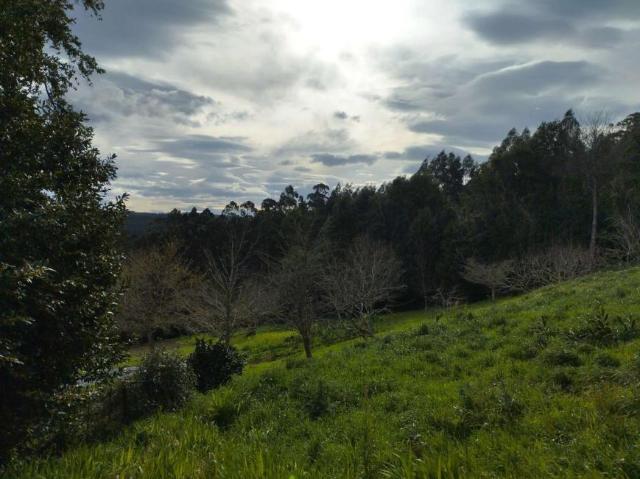Casa en venta en Cerdido, Ortegal