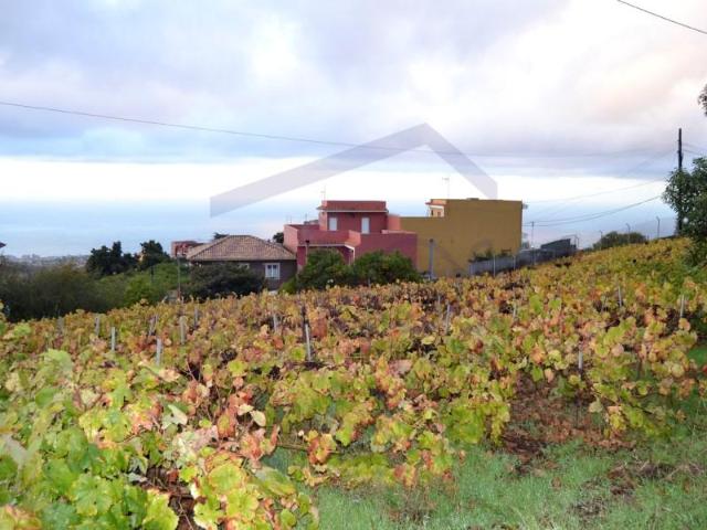 Casa en venta en La orotava, La Perdoma
