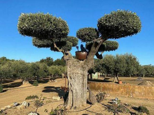 Chalet en venta en Sant Joan de Palamós, Baix Empordà