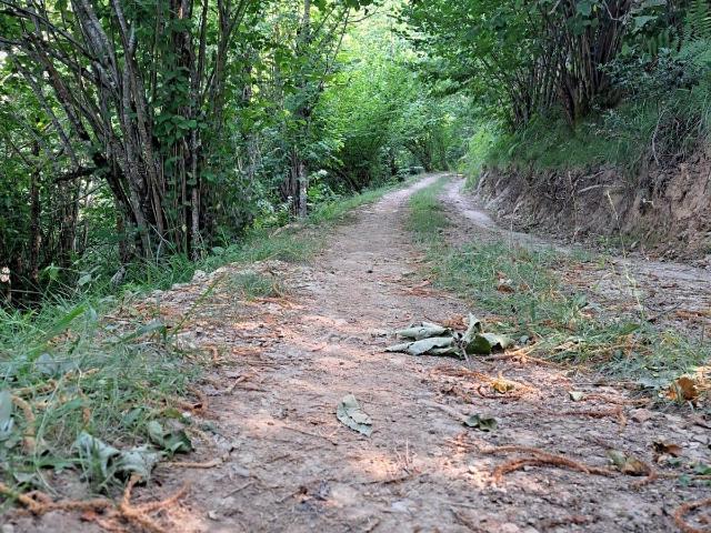 Casa Rural en venta en Caso, Asturias