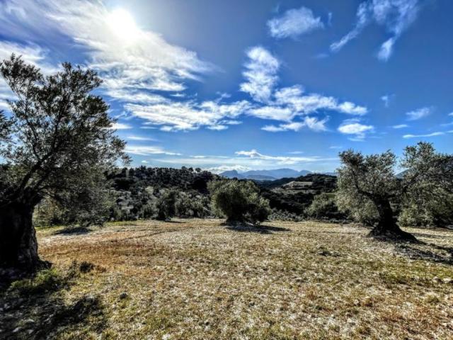 Casa Rural en venta en Sierra de Cádiz, Andalucía