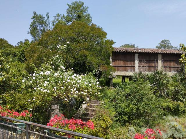 Casa en venta en Vedra, Santiago