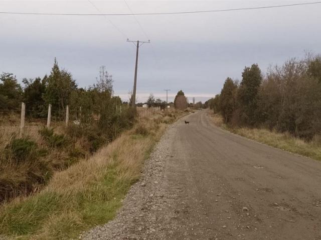Casa en venta en Ancud, Los Lagos