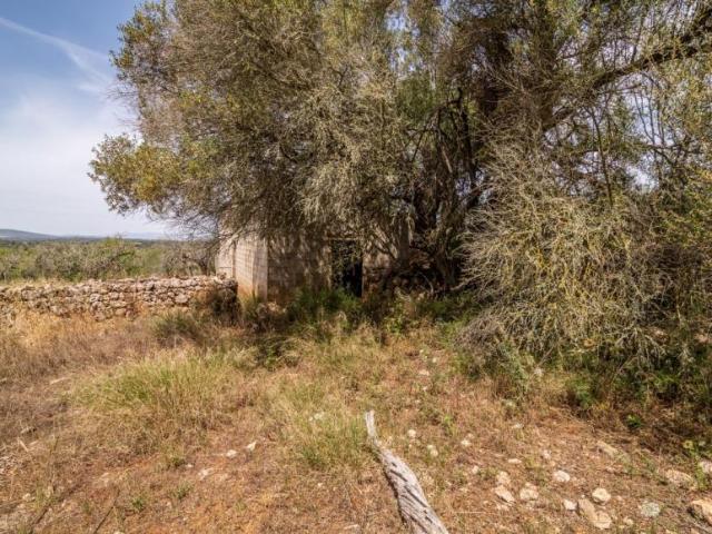 Casa en venta en Pla de Mallorca, Baleares