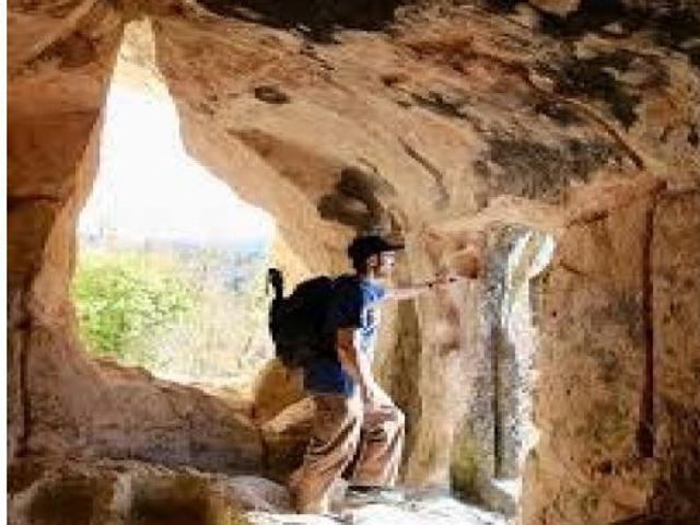 Casa en venta en Sexmo de Cabezas, Aldea Real