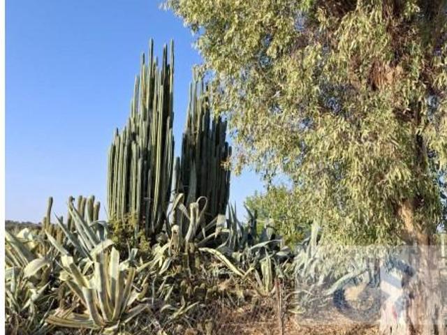 Casa en venta en El Viso De San Juan, Castilla-La Mancha