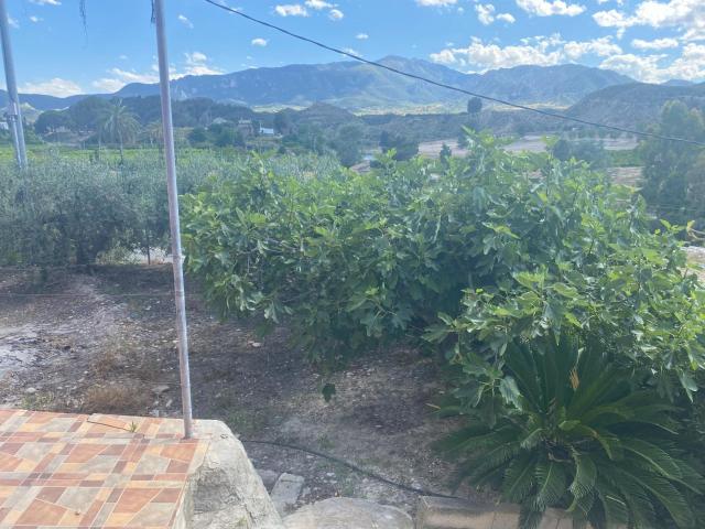Casa en venta en Vega Alta del Segura, Murcia