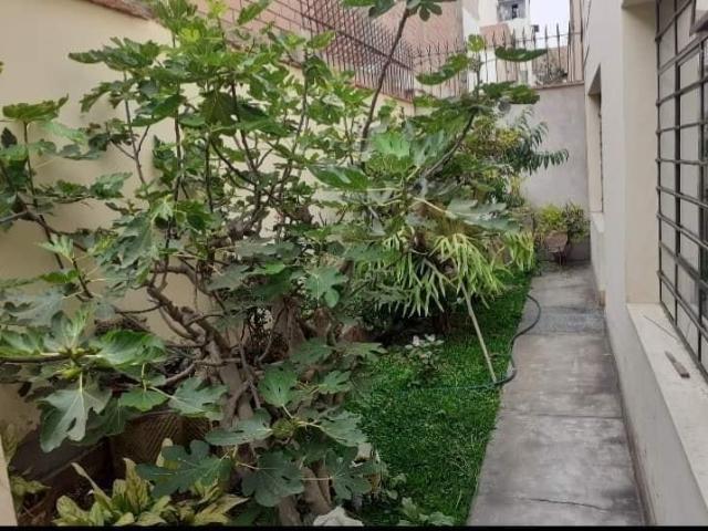 Casa venta en Pueblo Libre, Ancash