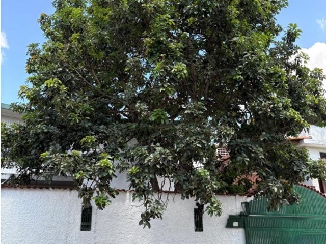 Casa en venta en Boca De Uchire, Miranda