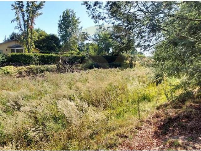 Venta casa patronal y campo 6,75 Has Santa Cruz