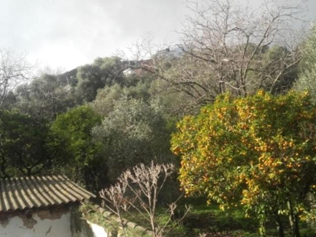 Casa Rural en venta en Serranía de Ronda, Andalucía
