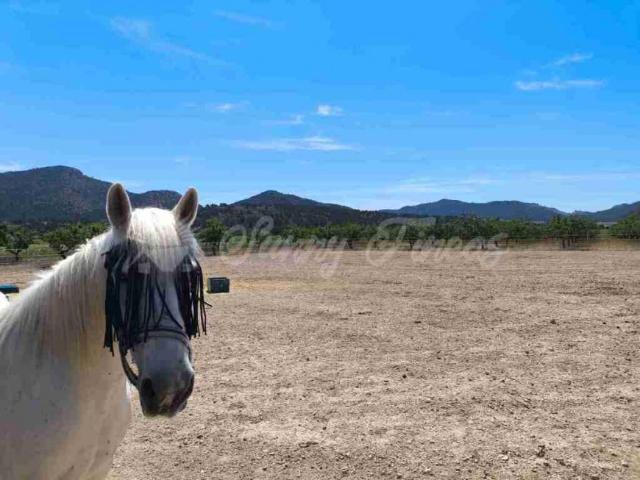 Casa Rural en venta en Altiplano, Murcia