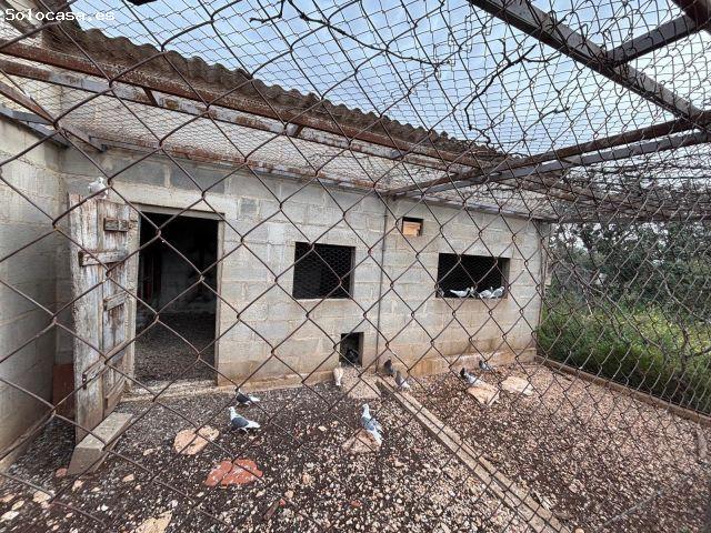 Local Comercial en venta en Baix Ebre, Catalunya