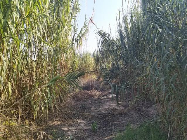 Terreno en venta en La Alberca, Área Metropolitana de Murcia