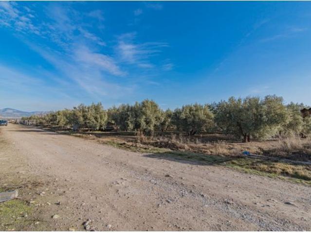 Local Comercial en venta en Romilla, Comarca de la Vega de Granada