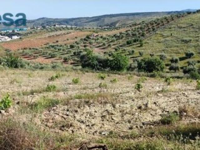 Local Comercial en venta en San Miguel, Comarca de la Vega de Granada