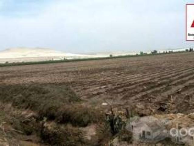 Terreno venta en San Clemente, Ica