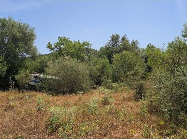 Local Comercial en venta en la Plana Alta, Valencia