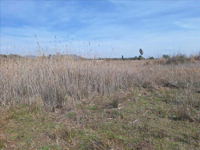 Terreno en venta en el Puig de Santa Maria, València / Valencia