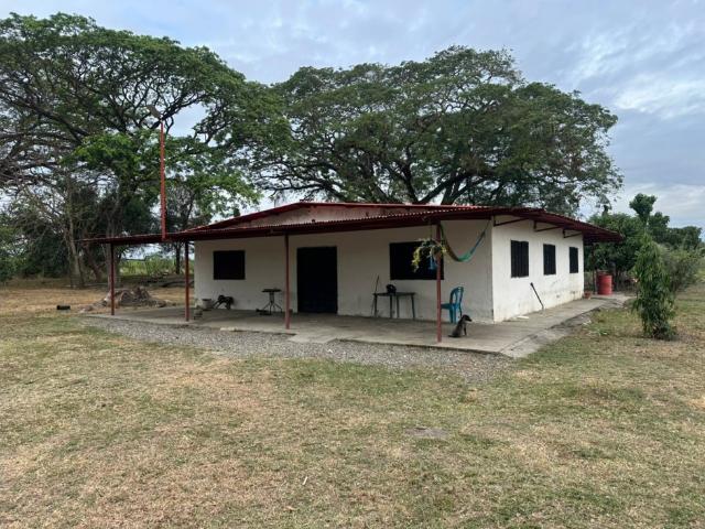 Finca en venta en Gua, Portuguesa