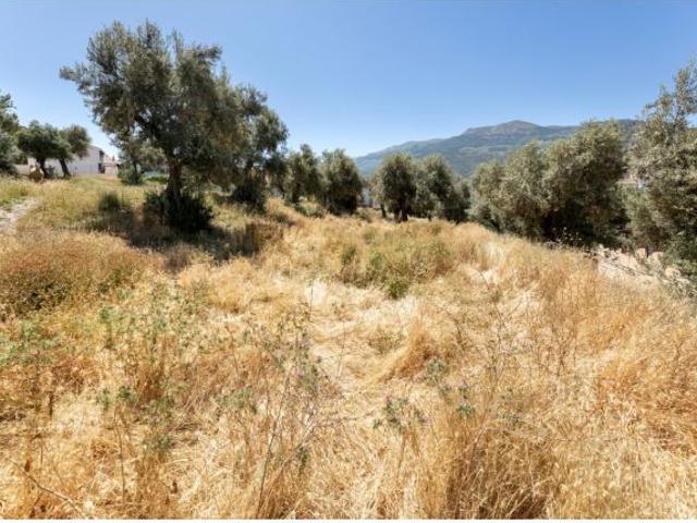 Local Comercial en venta en Comarca de la Vega de Granada, Andalucía