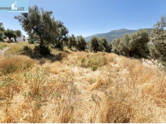 Local Comercial en venta en Comarca de la Vega de Granada, Andalucía