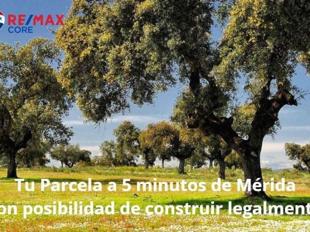 Terreno en venta en Valverde De Mérida, Badajoz