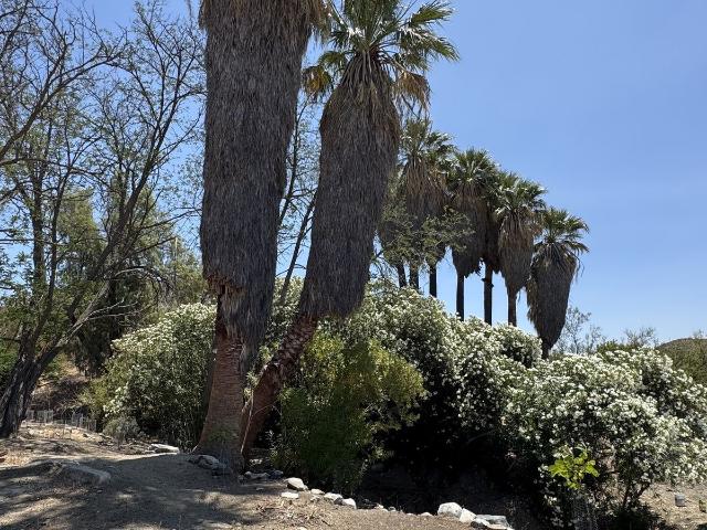 Rancho en venta en Ensenada, Baja California