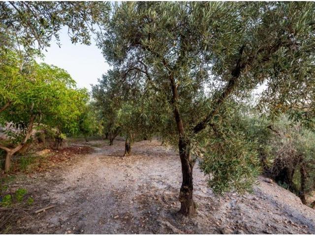 Local Comercial en venta en Comarca de la Alpujarra Granadina, Andalucía