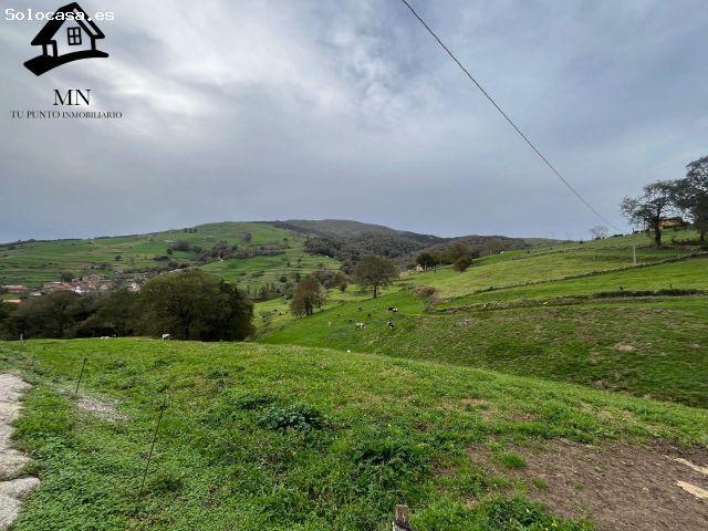 Local Comercial en venta en Villafufre, Cantabria
