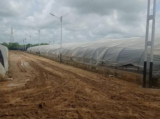 Finca en venta en Santa Ana De Coro, Falcón