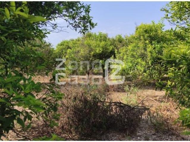 Casa en venta en Benicull de Xúquer, València / Valencia