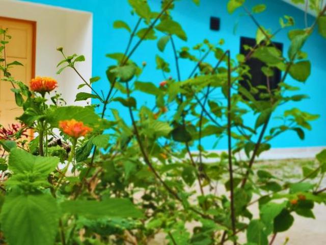 Venta de casa con panel solar en Pedasi