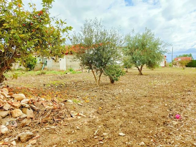 Casa en venta en Vega Media del Segura, Murcia
