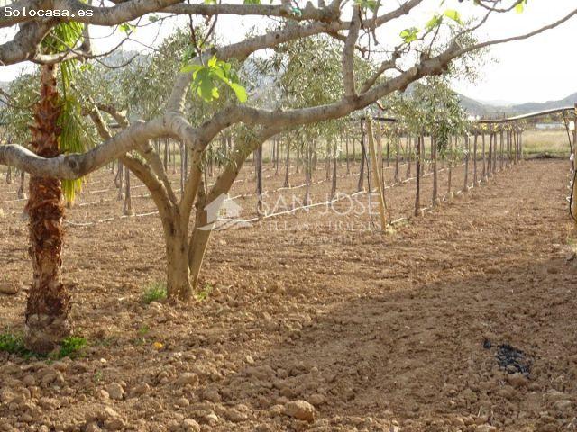 Casa en venta en el Vinalopó Mitjà / El Vinalopó Medio, Valencia