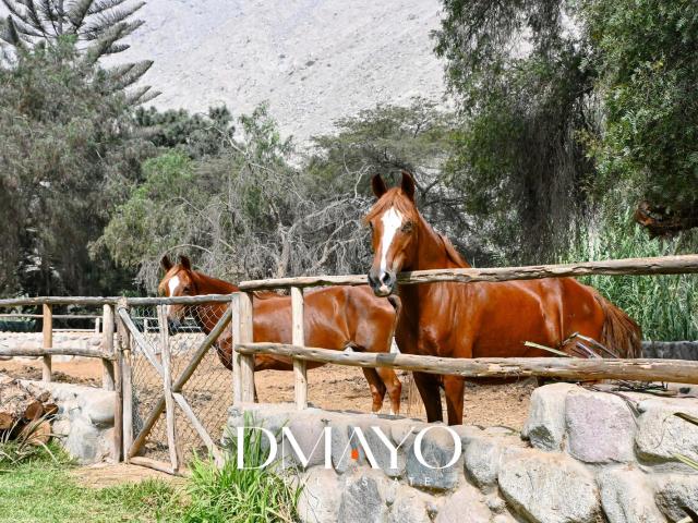 Casa venta en Antioquía, Huarochirí