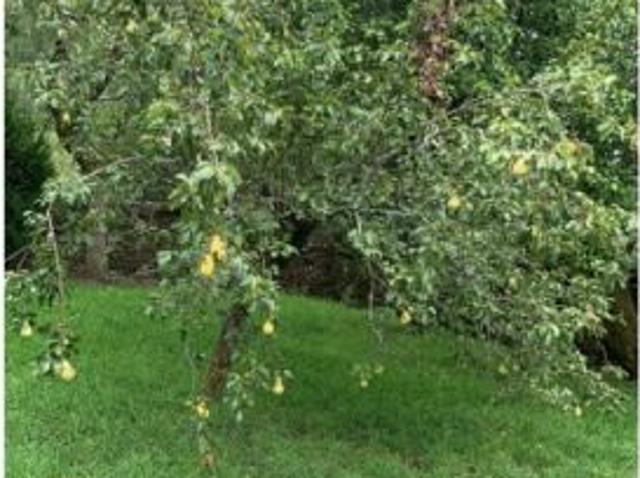 Casa en venta en Forcarei, Tabeirós - Terra de Montes