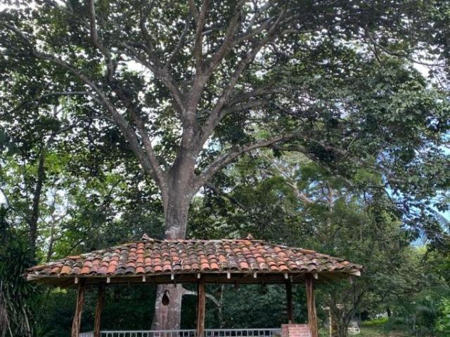 Venta de casa en potuga de parita