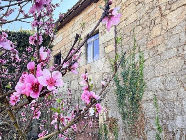 Casa en venta en Ourense, Galicia