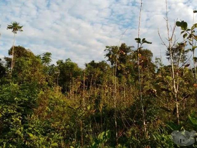 Terreno venta en Oxapampa, Pasco