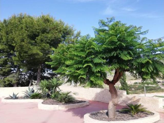 Casa en venta en el Baix Vinalopó, Valencia