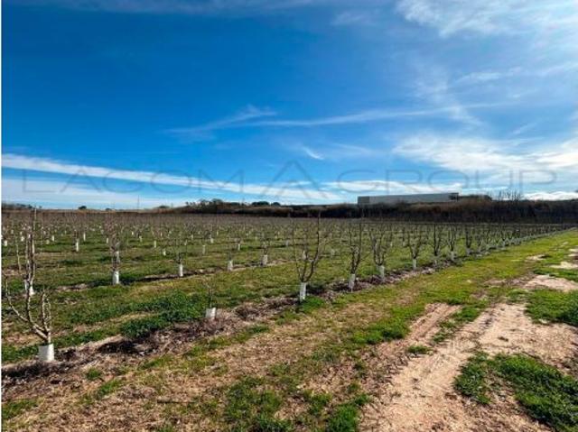 Local Comercial en venta en Segrià, Catalunya