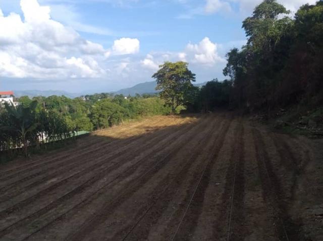 Terreno en venta en Barinas