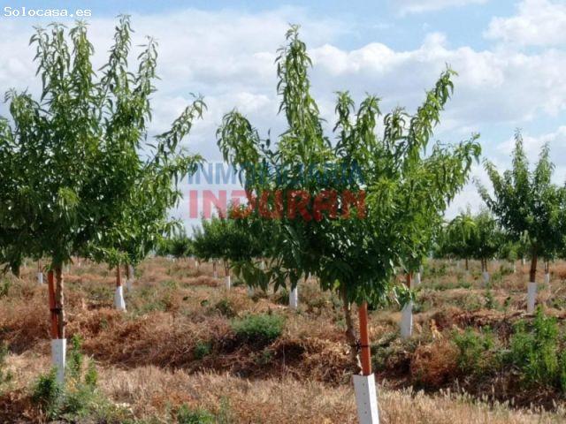 Casa en venta en Saucedilla, Extremadura