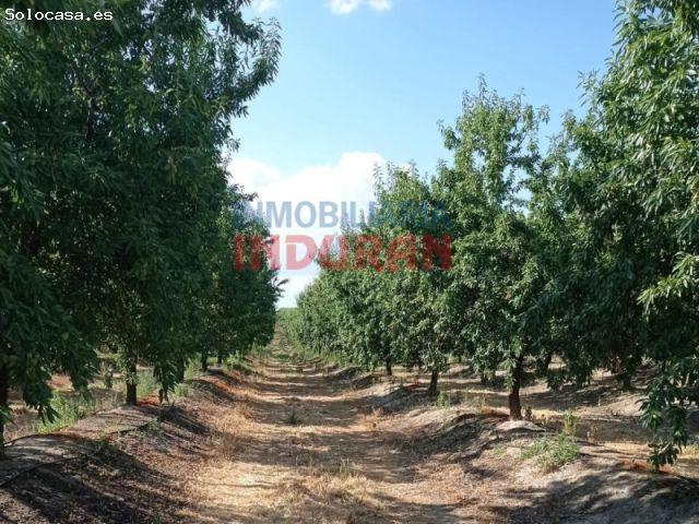 Casa en venta en Saucedilla, Extremadura