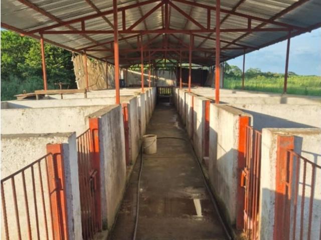 Finca en venta en Gua, Portuguesa