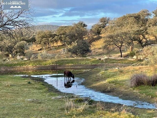 Local Comercial en venta en Cerro Alto, La Haba